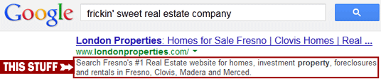 'Meta Description' is the block of text that appears below your site on search results.